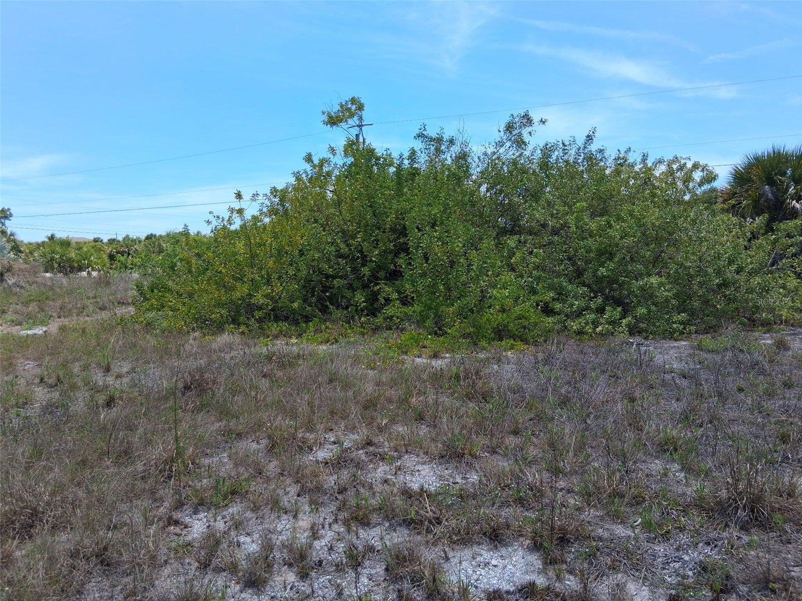 10166 Kingsville Drive Port Charlotte FL 33981 O6409476 image5