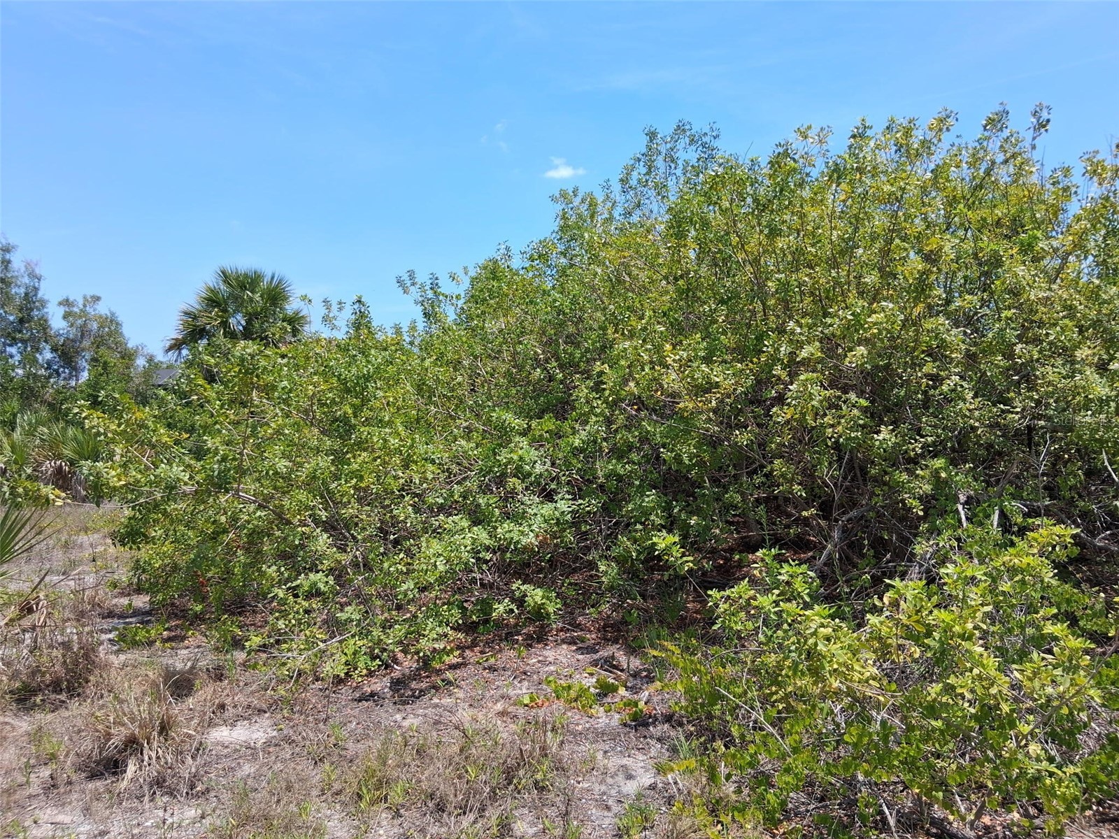 10166 Kingsville Drive Port Charlotte FL 33981 O6409476 image6