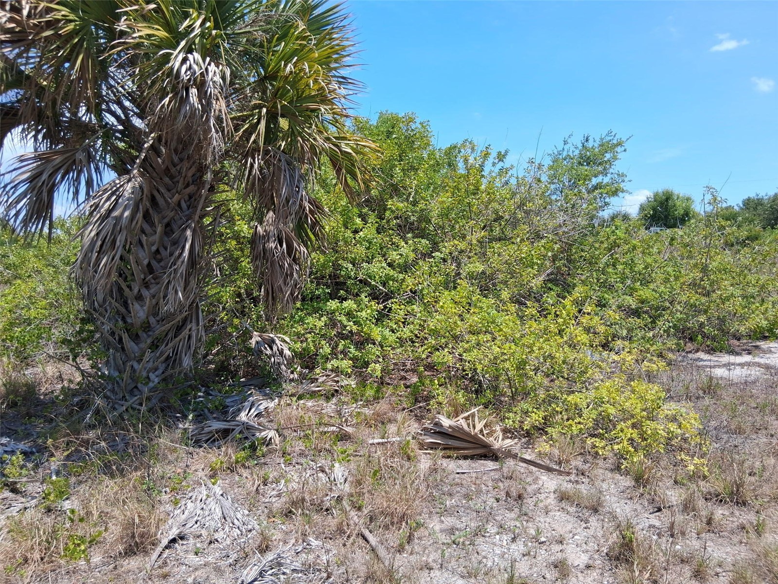 10166 Kingsville Drive Port Charlotte FL 33981 O6409476 image7