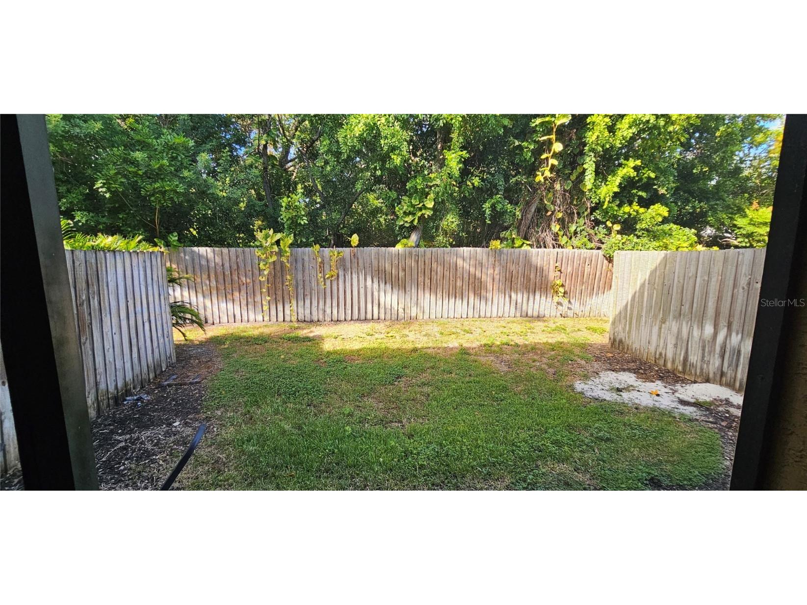 10167 Sailwinds Boulevard N #104 Largo FL 33773 TB8440726 image3