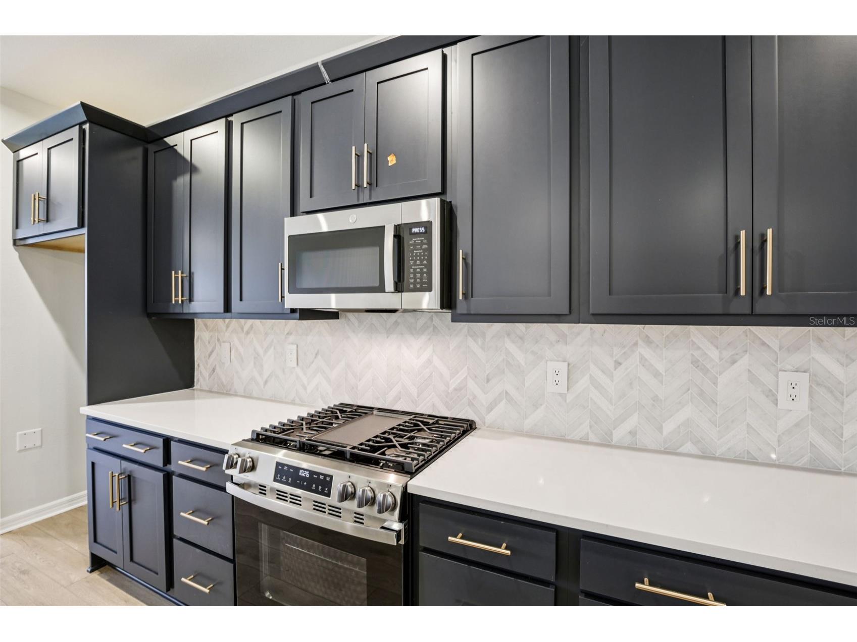 10168 Hidden Hammock Loop Parrish FL 34219 TB8450179 image19