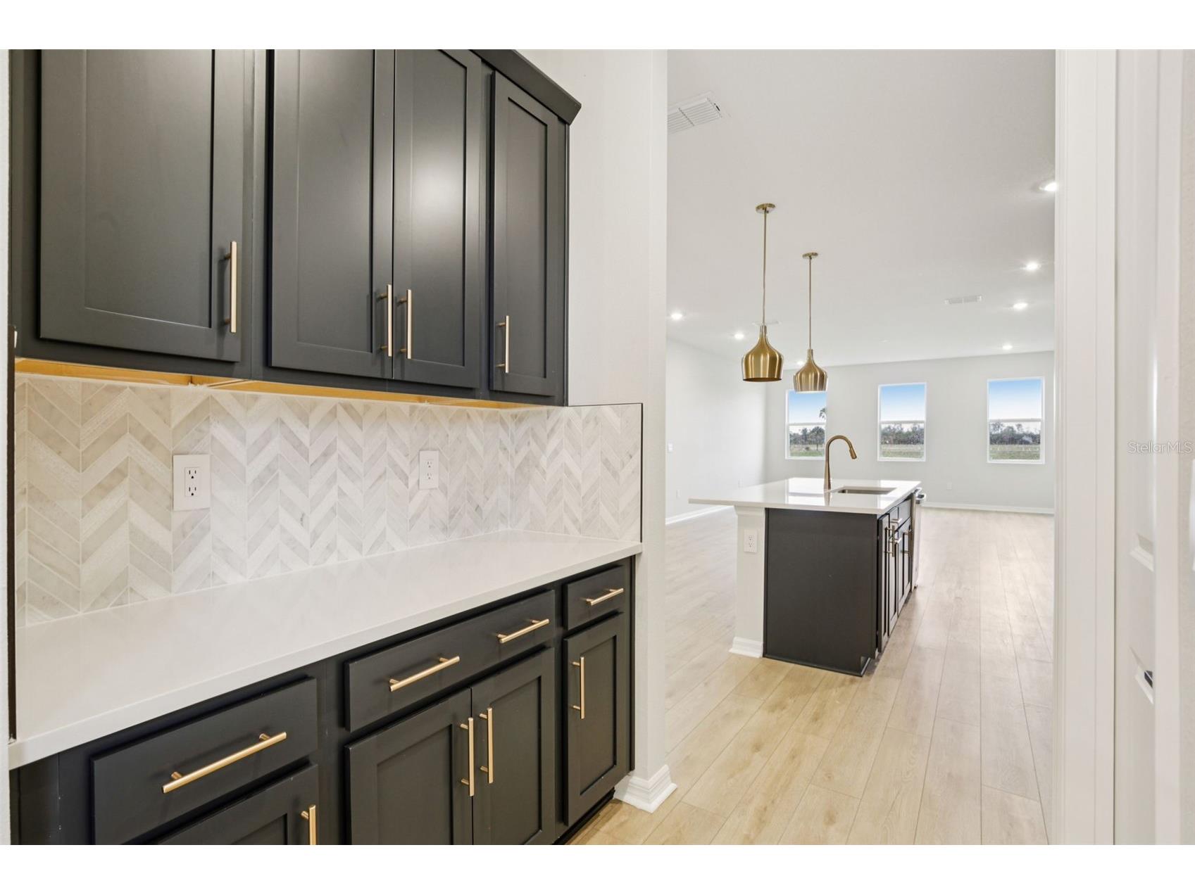 10168 Hidden Hammock Loop Parrish FL 34219 TB8450179 image23