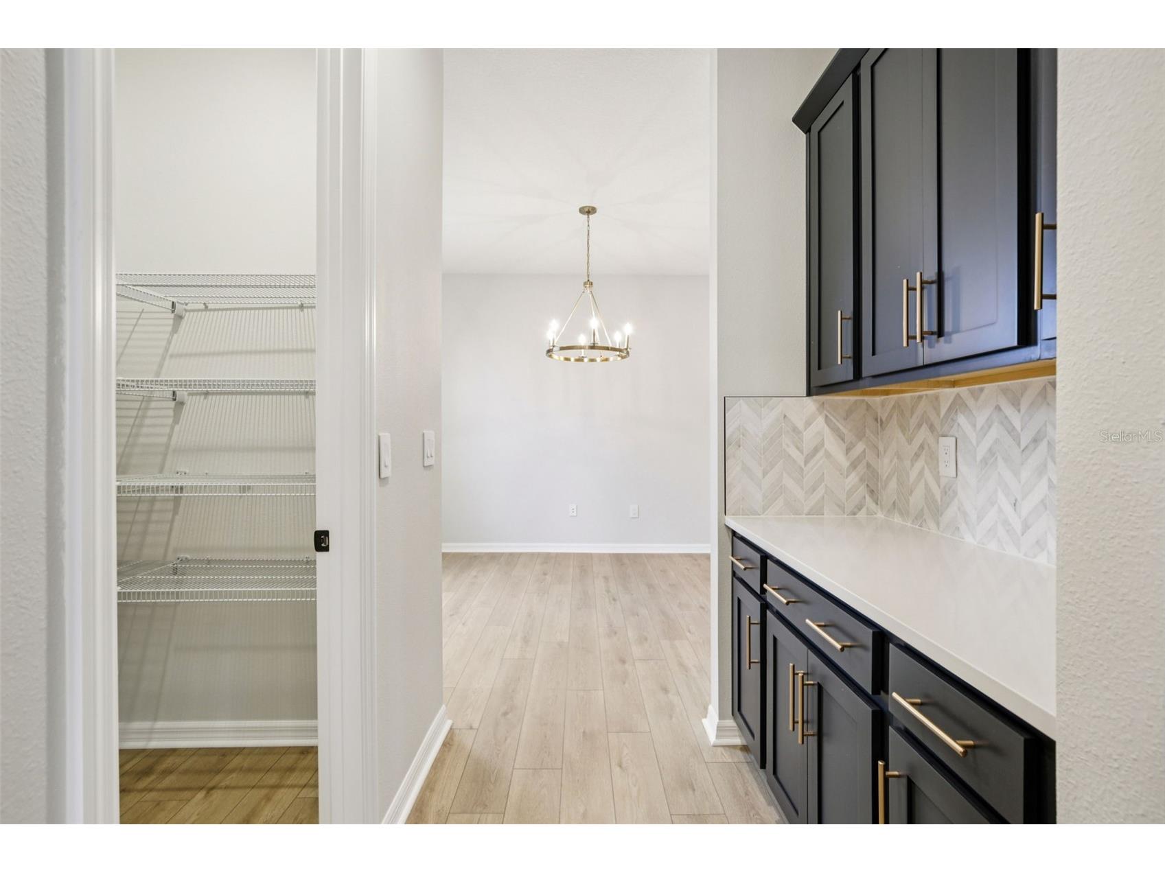 10168 Hidden Hammock Loop Parrish FL 34219 TB8450179 image24