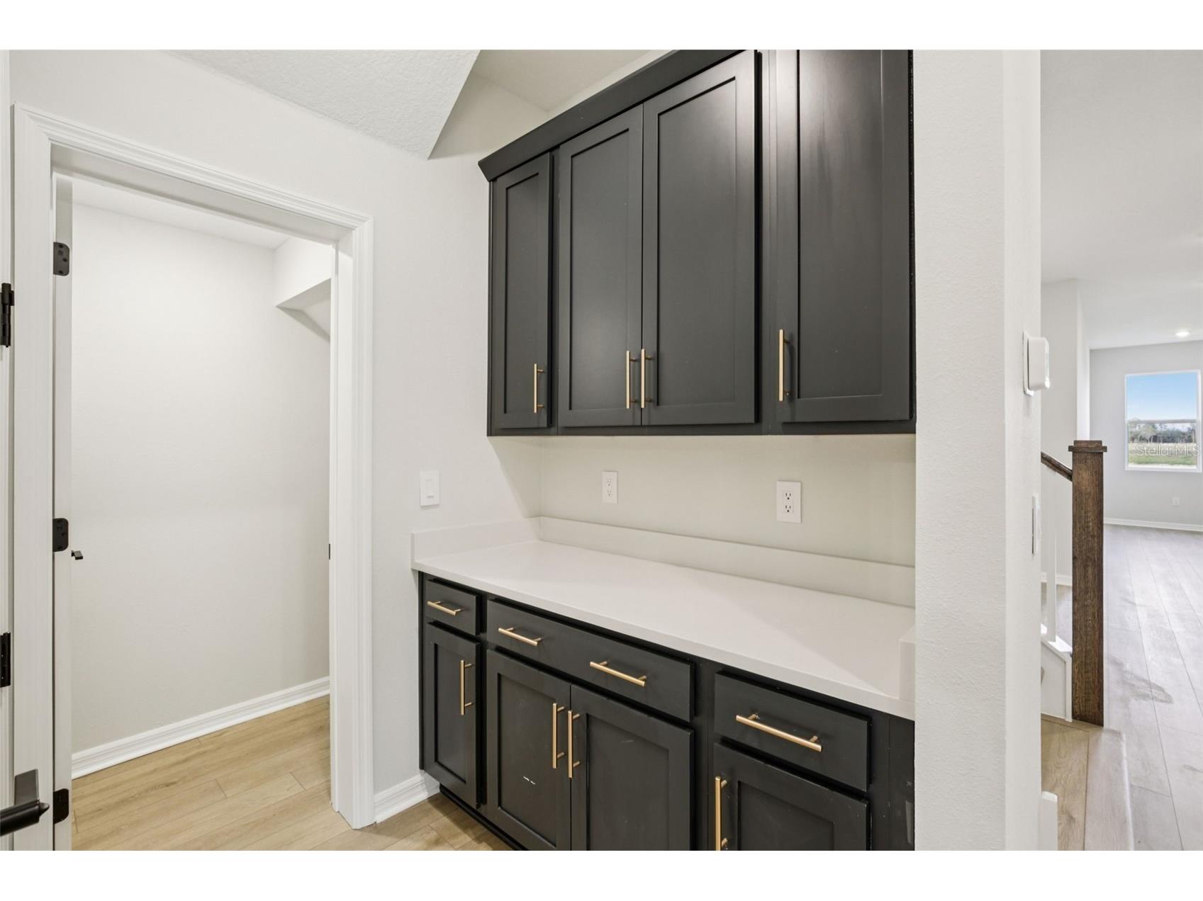 10168 Hidden Hammock Loop Parrish FL 34219 TB8450179 image25