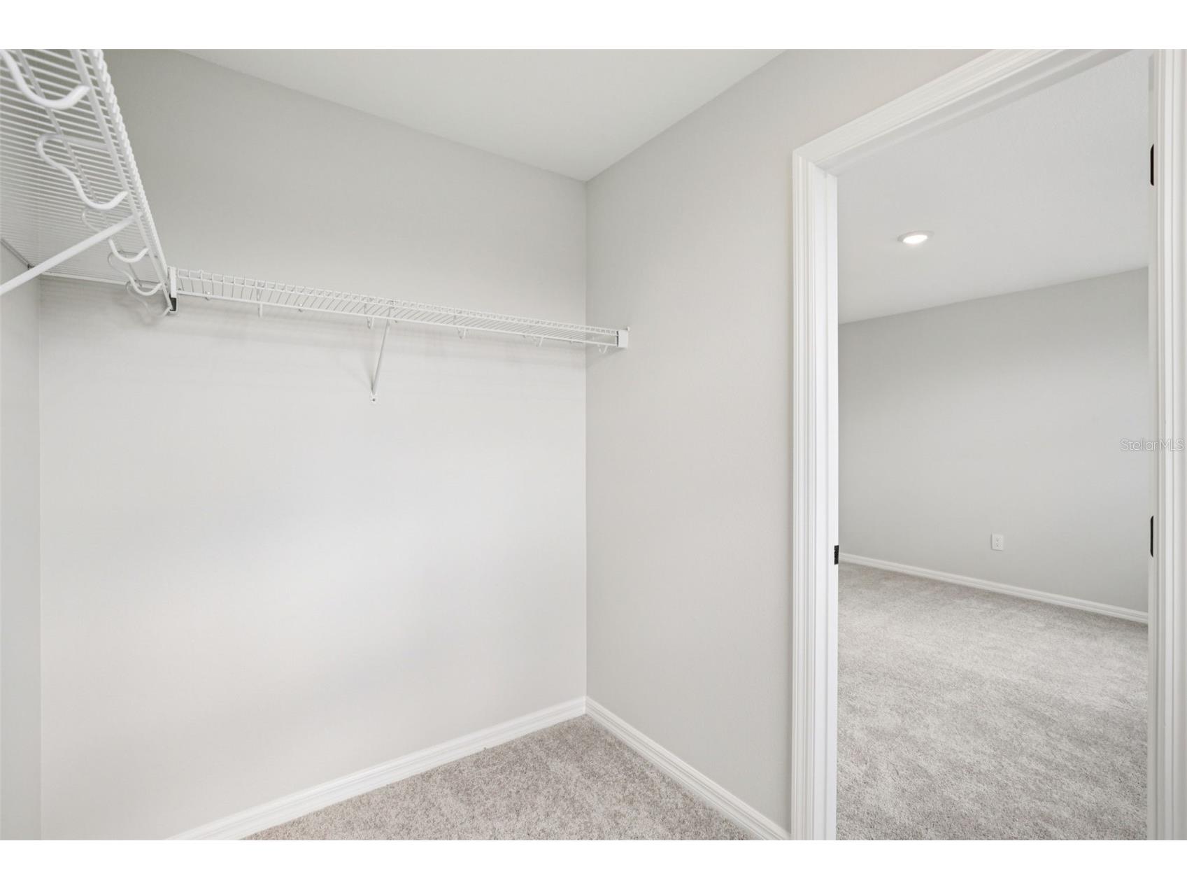 10168 Hidden Hammock Loop Parrish FL 34219 TB8450179 image36