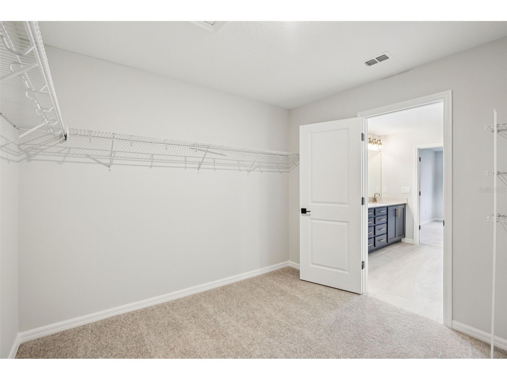 10168 Hidden Hammock Loop Parrish FL 34219 TB8450179 image54