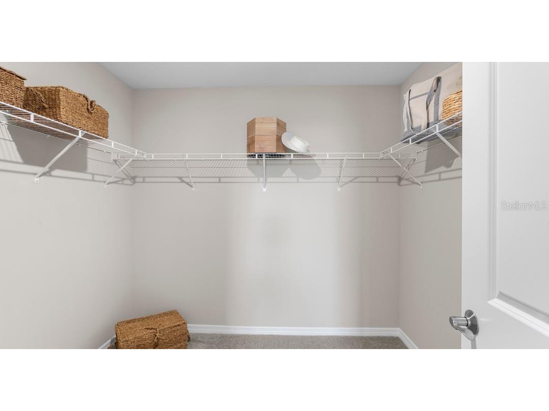 10168 Morning Meadowlark Trail Parrish FL 34219 TB8490341 image31