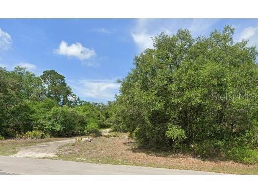 10168 N Purplesage Terrace Crystal River FL 34428 O6251717 image1