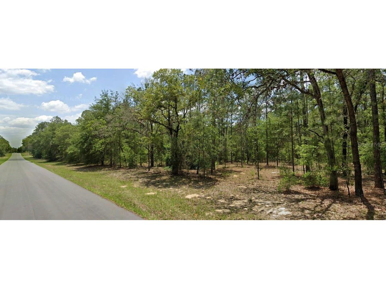 10168 N Quarry Drive Citrus Springs FL 34434 O6231454 image1