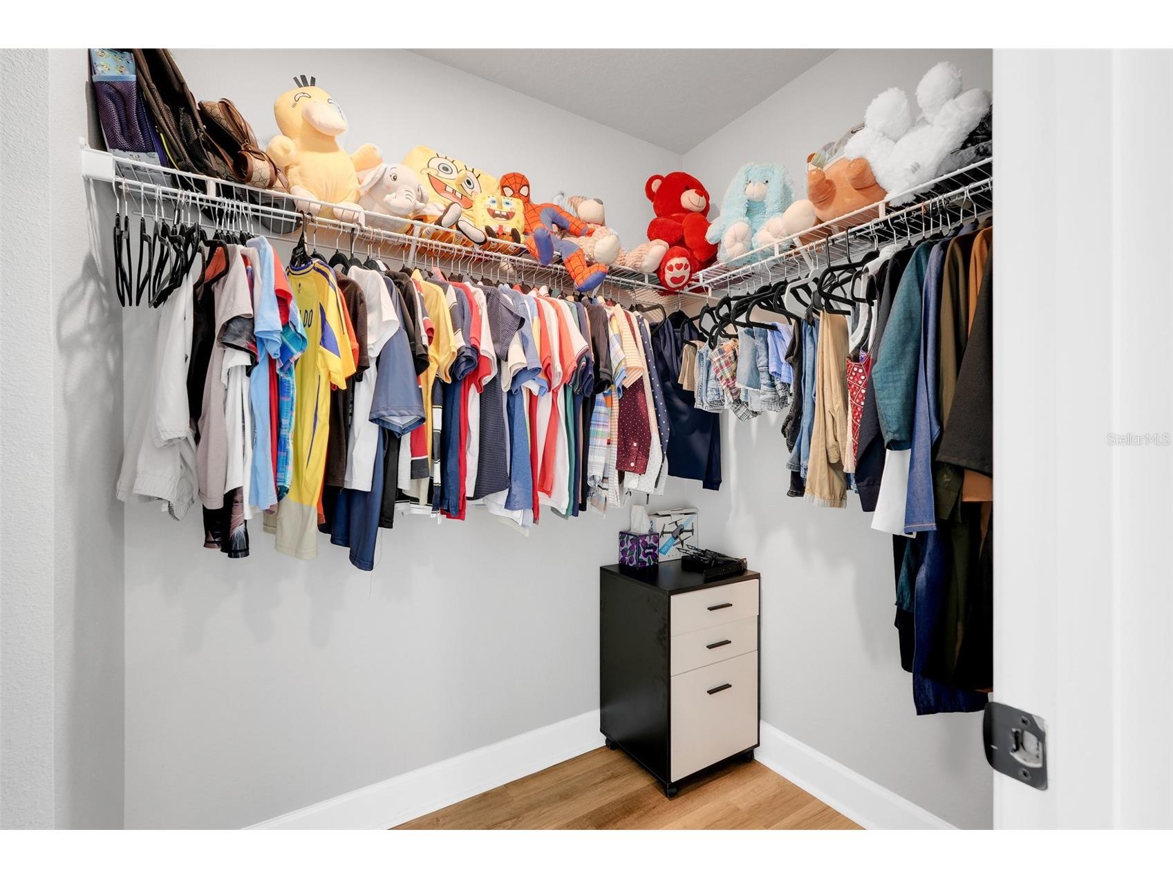 10169 Spring Lake Drive Clermont FL 34711 O6413280 image33