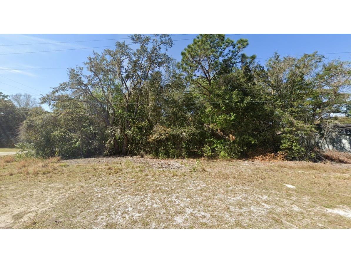 1017 Carnegie Drive Inverness FL 34450 TB8306160 image1