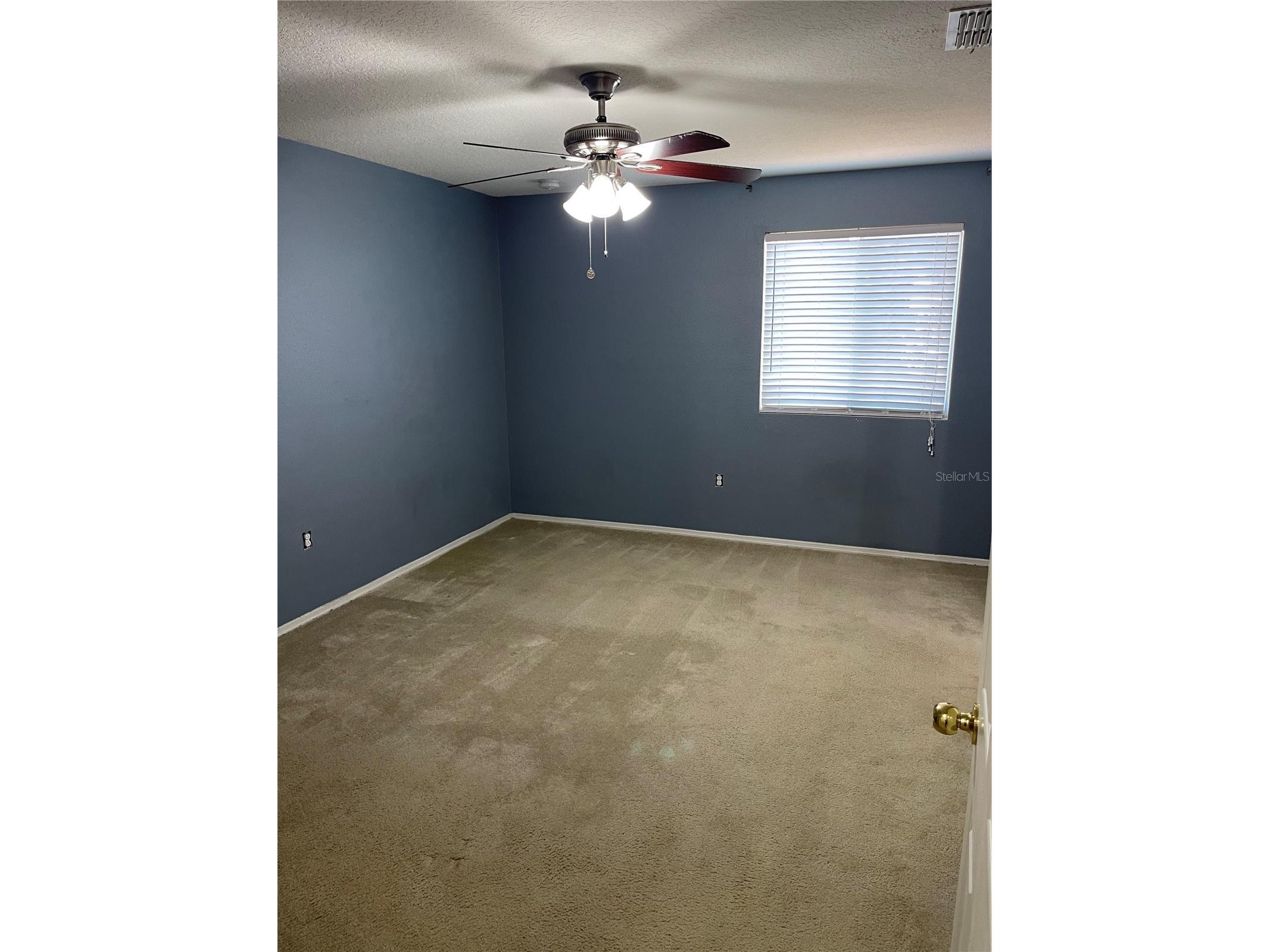 1017 Chalcedony Street Kissimmee FL 34744 O6414813 image14