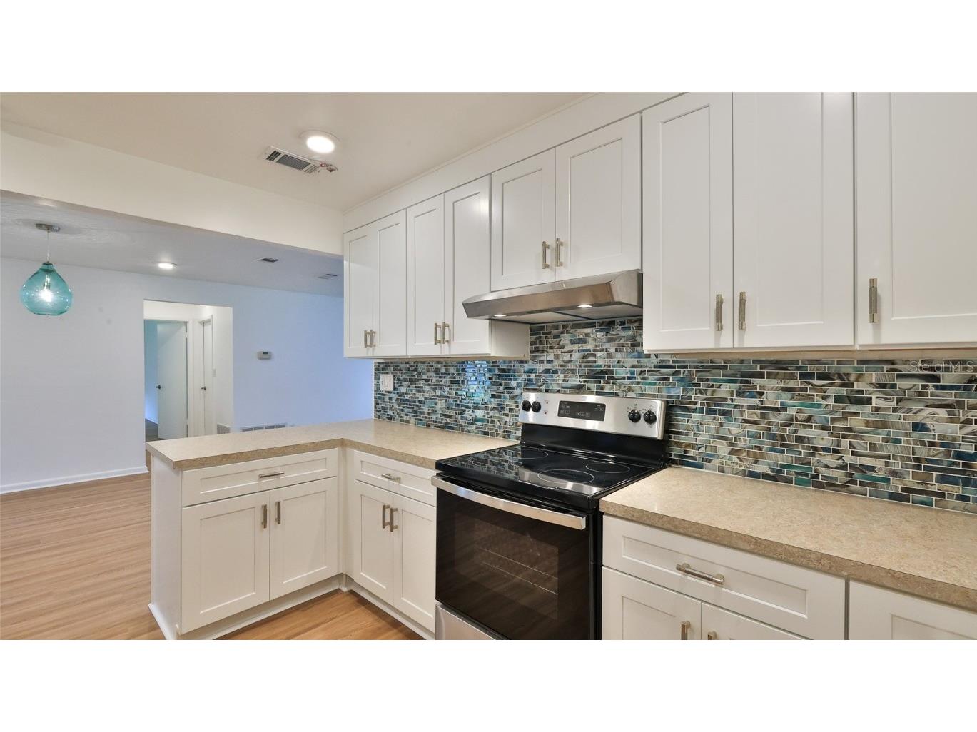 1017 Chippewa Trail Daytona Beach FL 32117 V4943309 image3