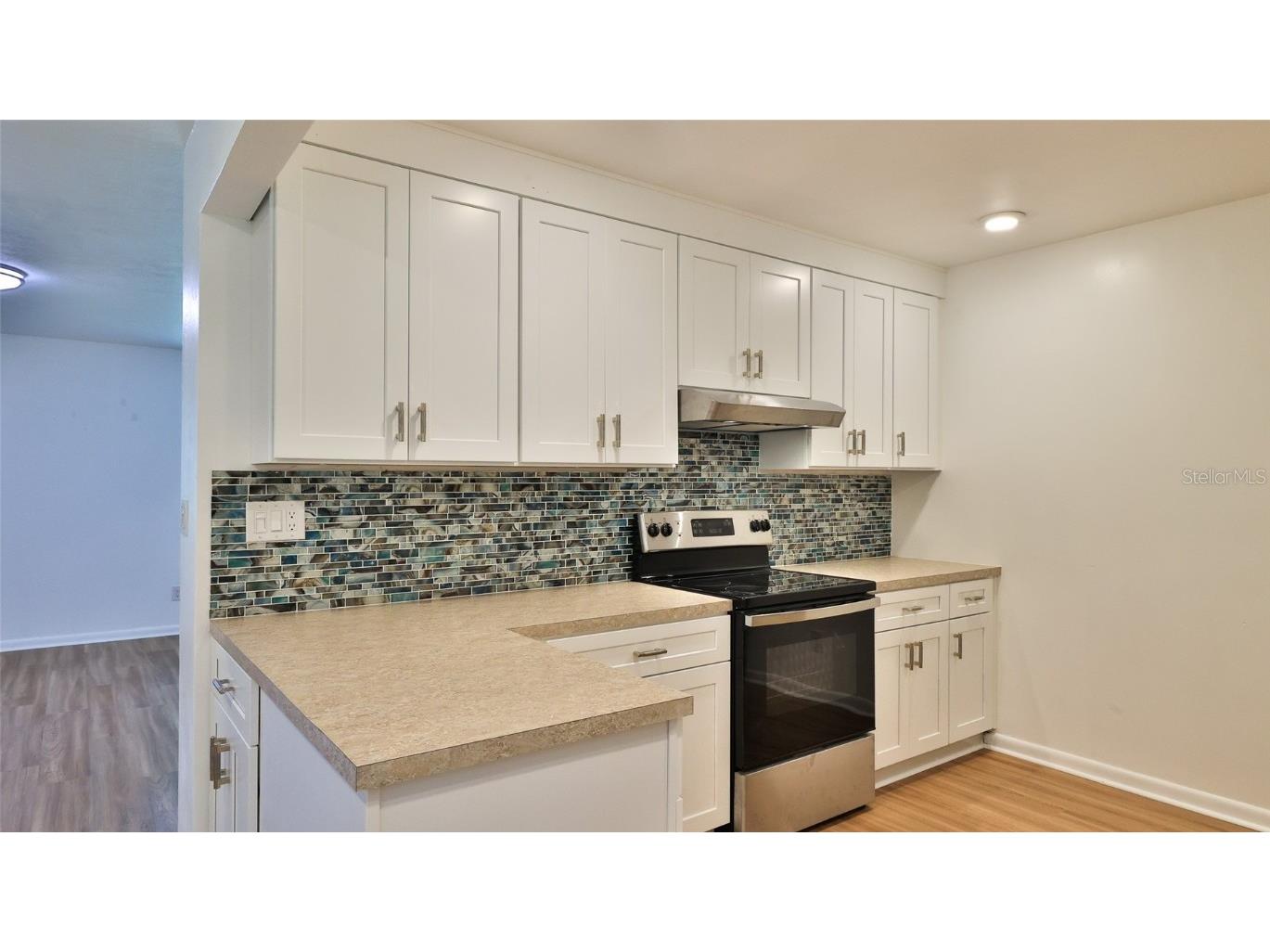 1017 Chippewa Trail Daytona Beach FL 32117 V4943309 image4