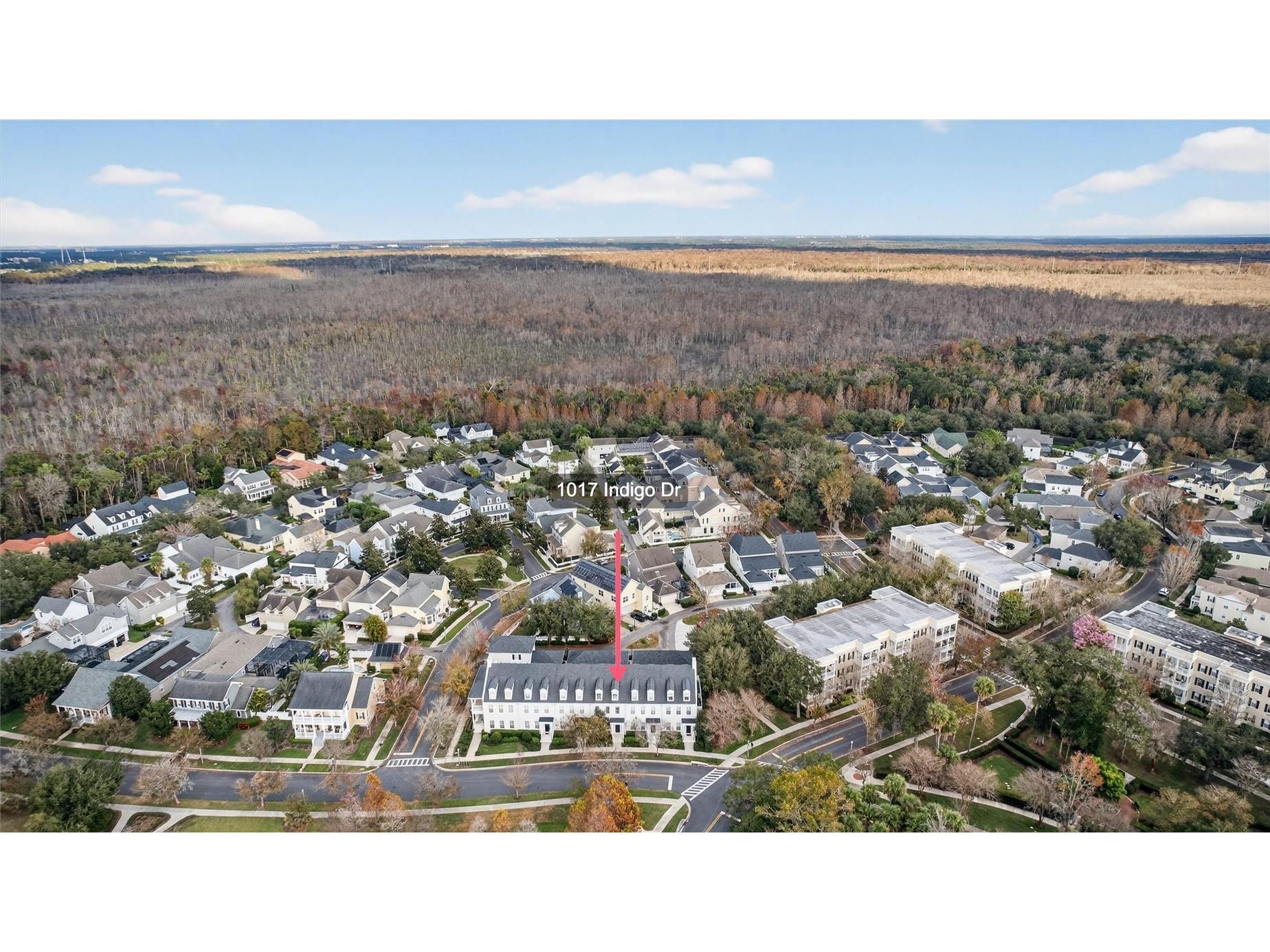 1017 Indigo Drive Celebration FL 34747 S5141540 image55