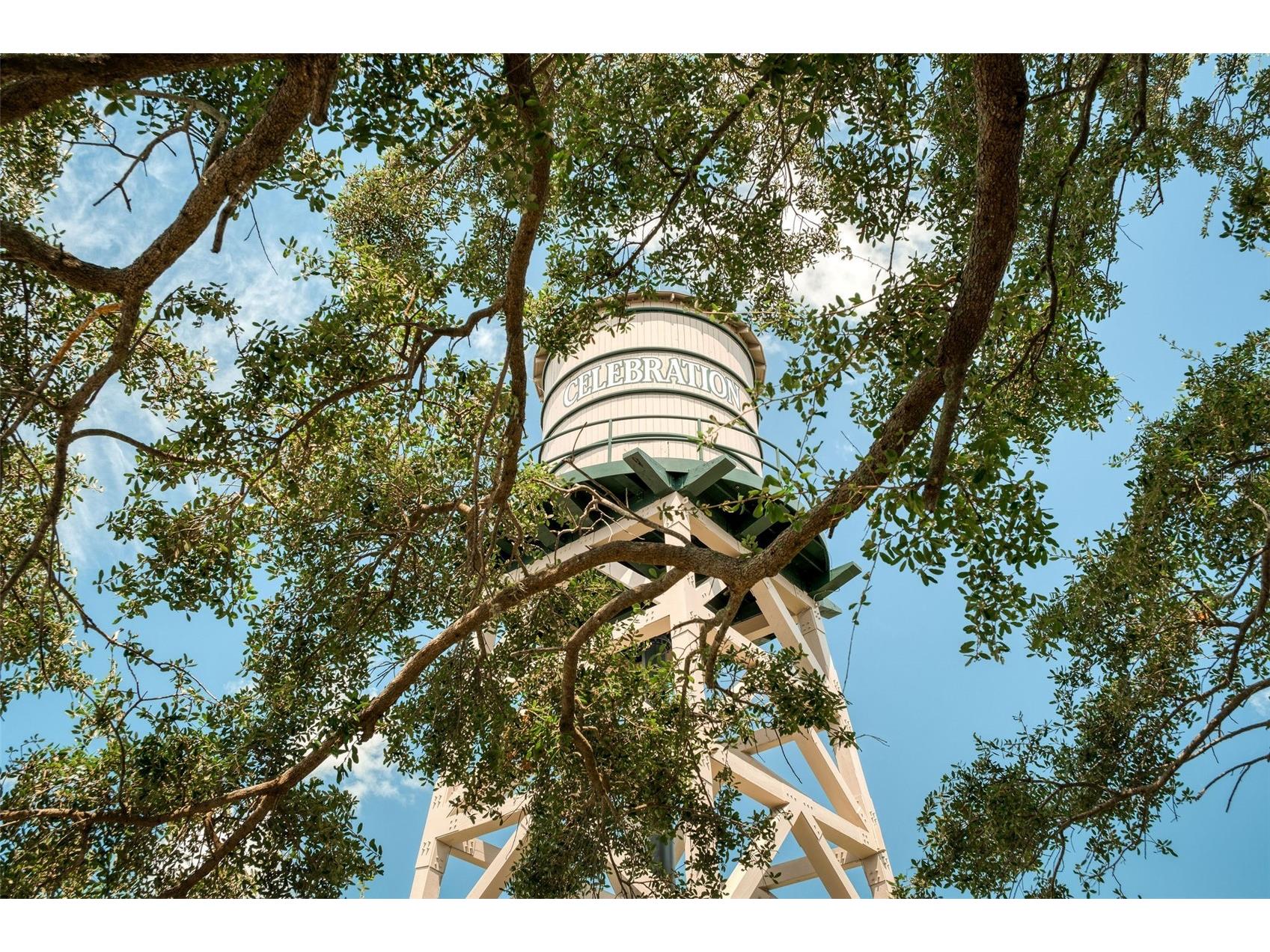 1017 Indigo Drive Celebration FL 34747 S5141540 image68