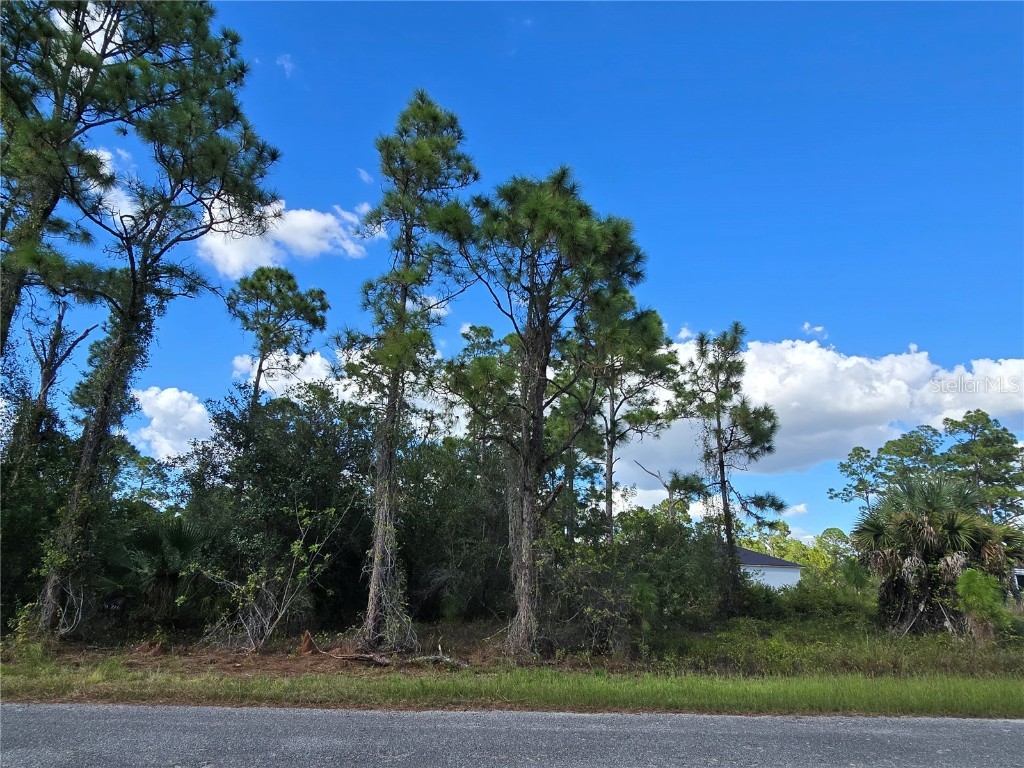 1017 Lakeside Drive Lehigh Acres FL 33974 O6354591 image2