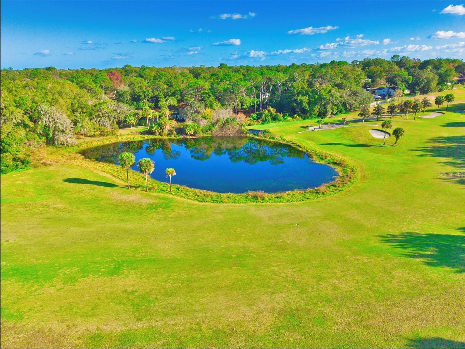 1017 Majestic Oak Drive Apopka FL 32712 - LAKE BRANTLEY O6369584 image32