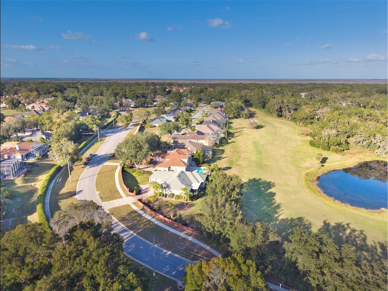 1017 Majestic Oak Drive Apopka FL 32712 - LAKE BRANTLEY O6369584 image36