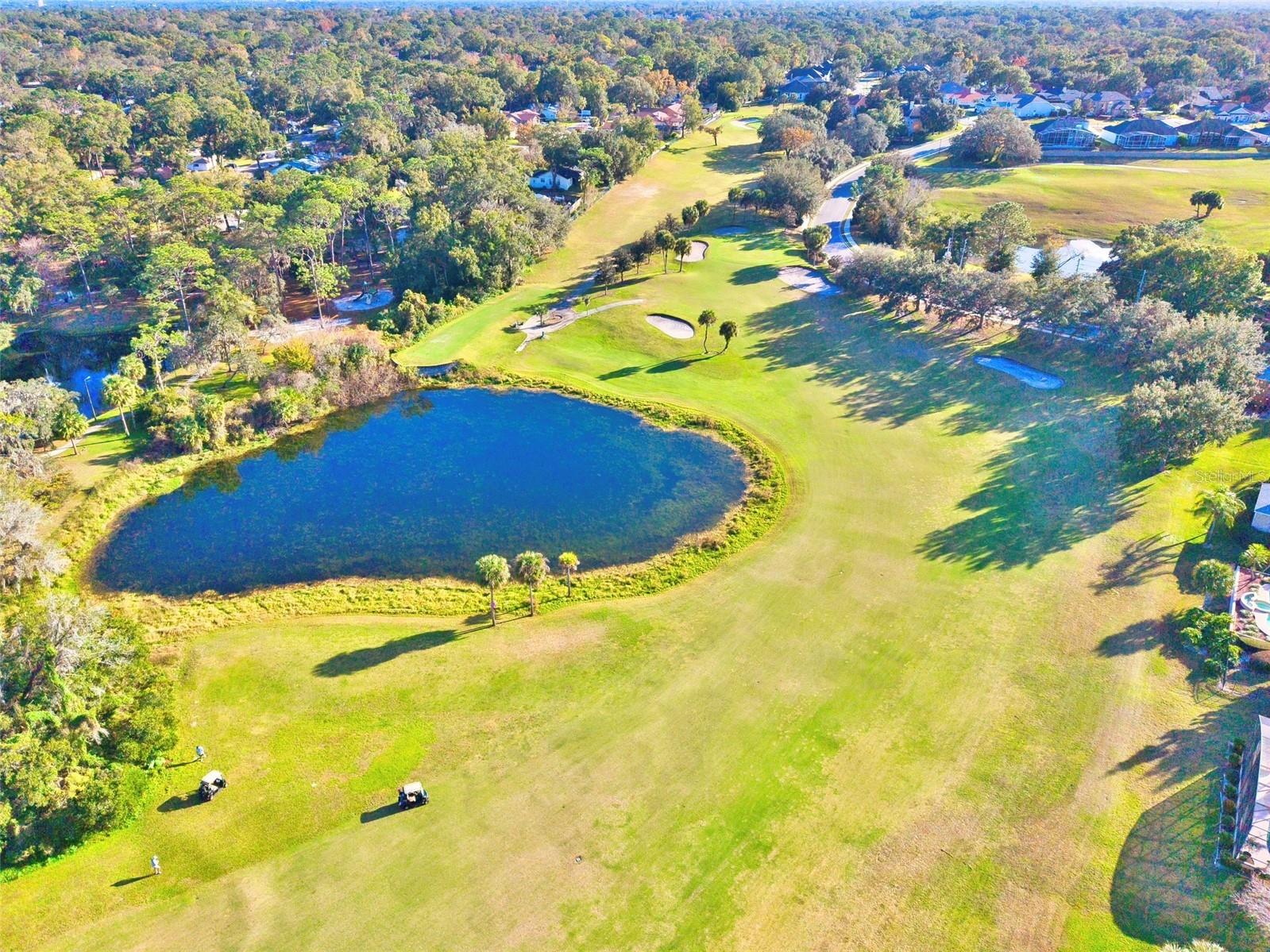 1017 Majestic Oak Drive Apopka FL 32712 - LAKE BRANTLEY O6369584 image5