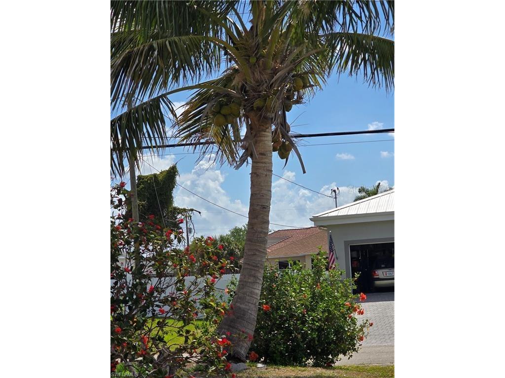 1017 NW 15th Street Cape Coral FL 33993 TB8450924 image10