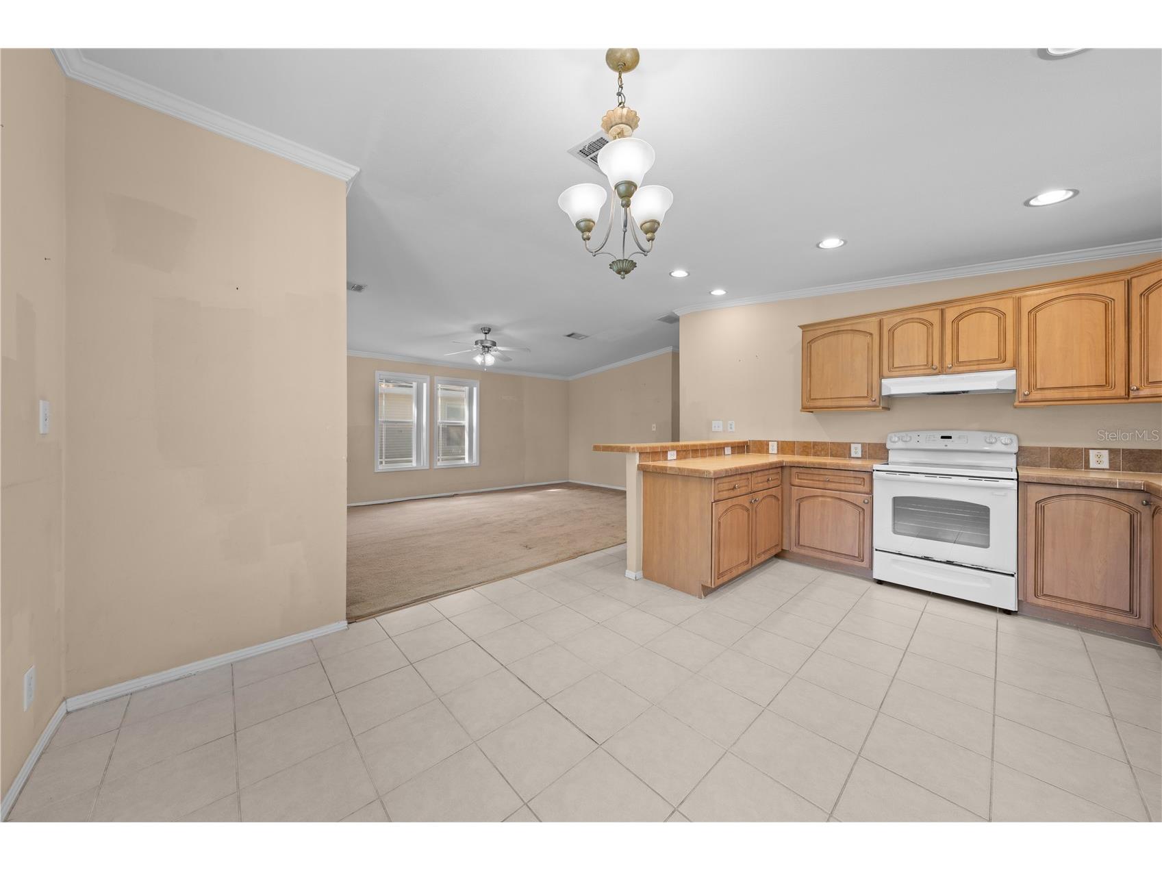 1017 Patrick Street Kissimmee FL 34741 S5142866 image12