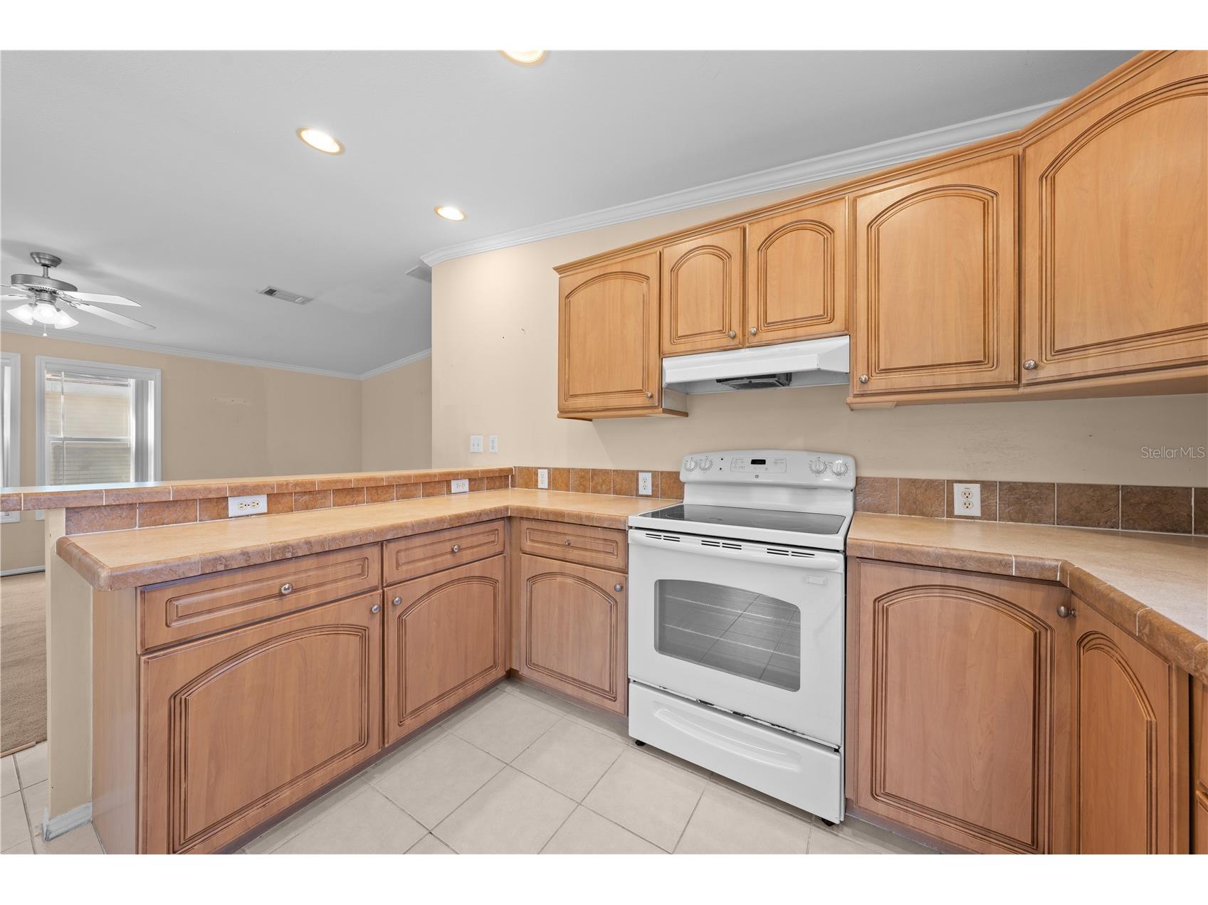 1017 Patrick Street Kissimmee FL 34741 S5142866 image7