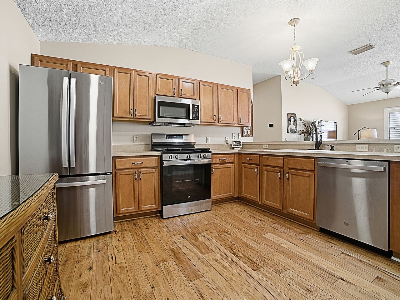 1017 Ridgeville Road The Villages FL 32162 G5107904 image13