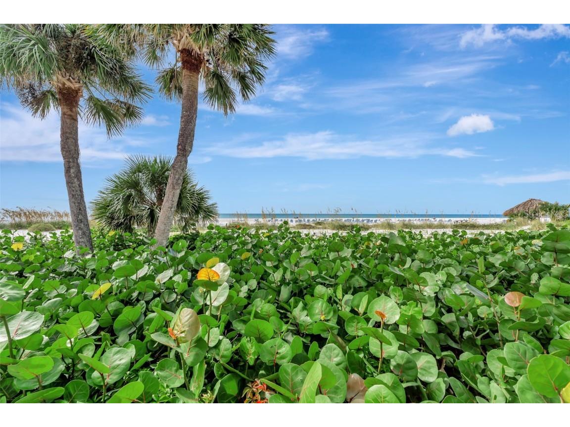 1017 W Peppertree Drive #116 Sarasota FL 34242 - GULF OF AMERICA A4673941 image32
