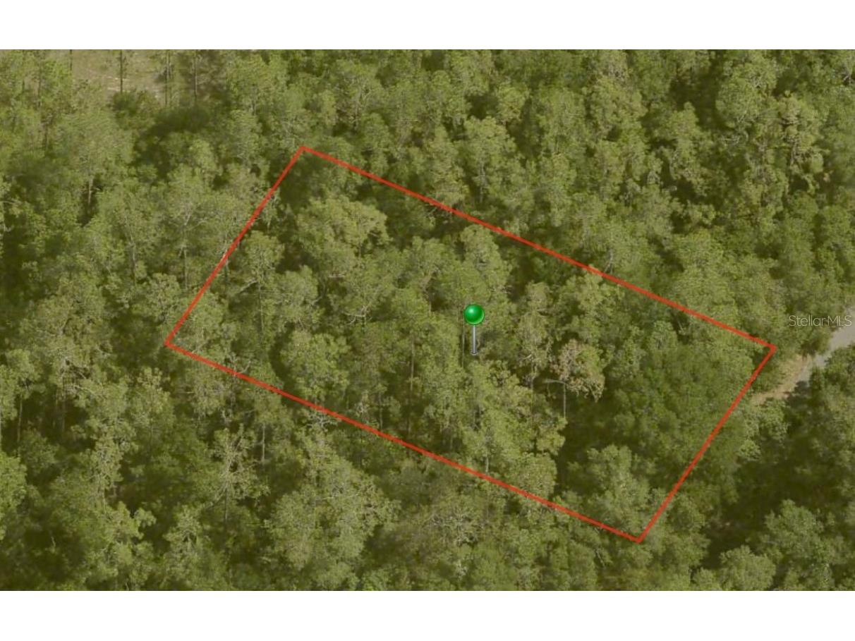 10170 N Abby Drive Citrus Springs FL 34434 A4596025 image1