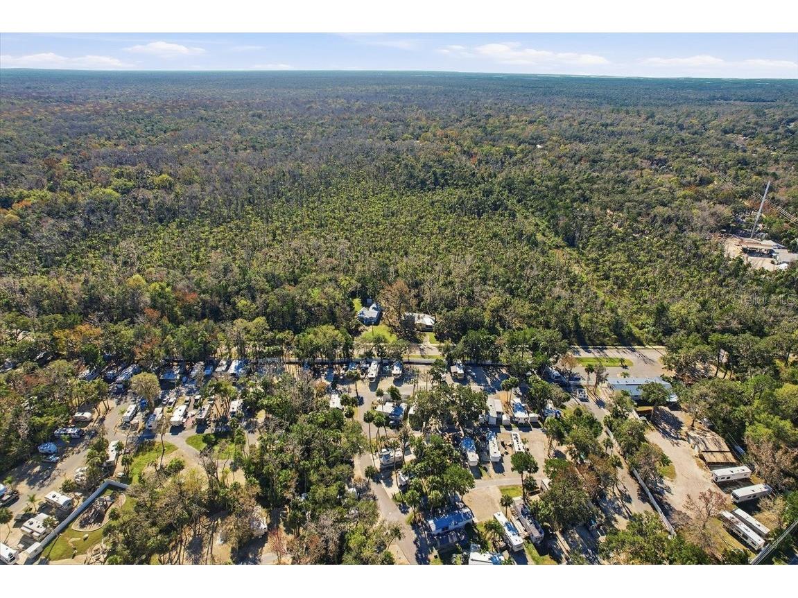 10170 W Yulee Drive Homosassa FL 34448 TB8461091 image49