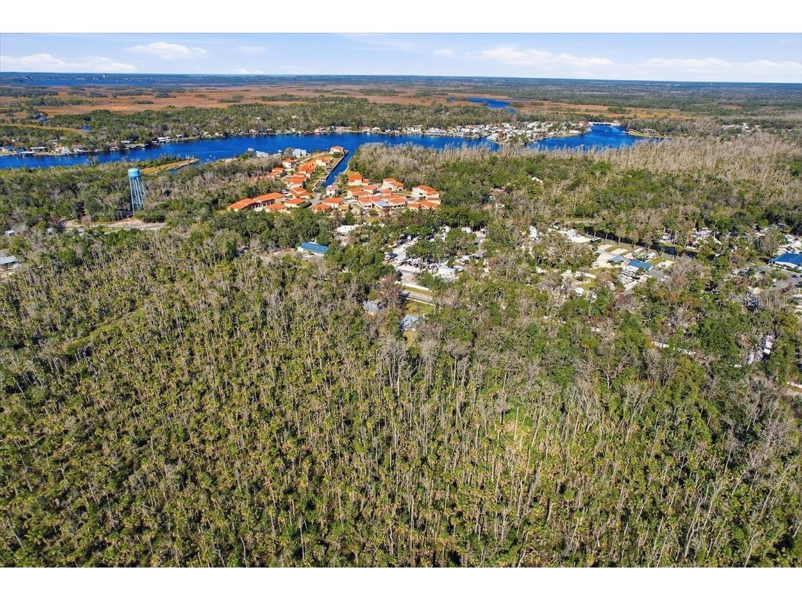 10170 W Yulee Drive Homosassa FL 34448 TB8461091 image50