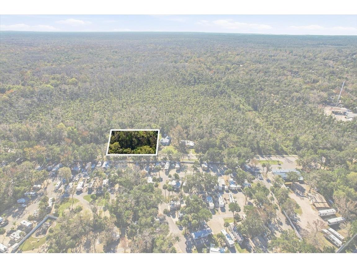 10170 W Yulee Drive Homosassa FL 34448 TB8461091 image53