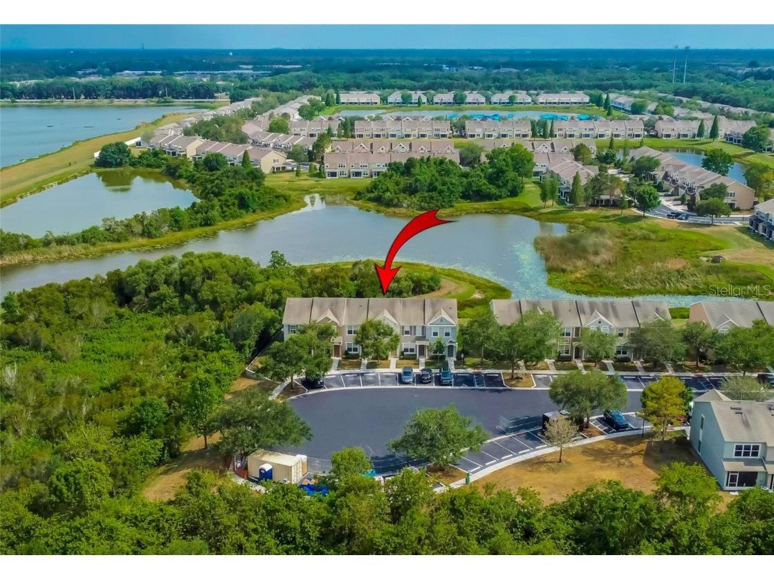 10171 Bessemer Pond Drive Riverview FL 33578 T3447211 image1