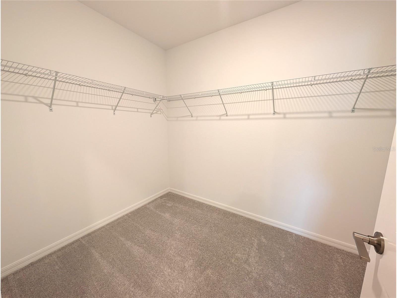 10171 Boger Ranch Ct Wesley Chapel FL 33545 TB8523165 image13