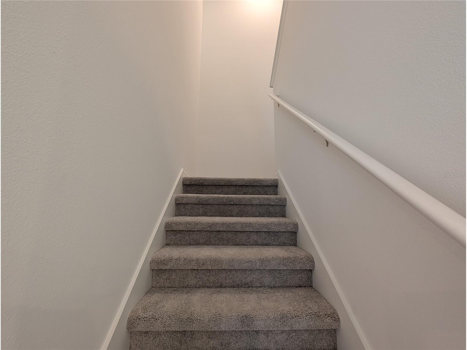 10171 Boger Ranch Ct Wesley Chapel FL 33545 TB8523165 image16