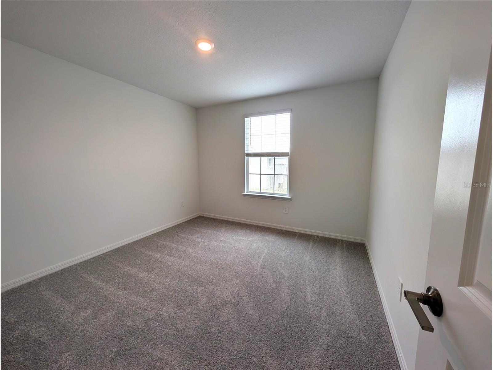 10171 Boger Ranch Ct Wesley Chapel FL 33545 TB8523165 image18