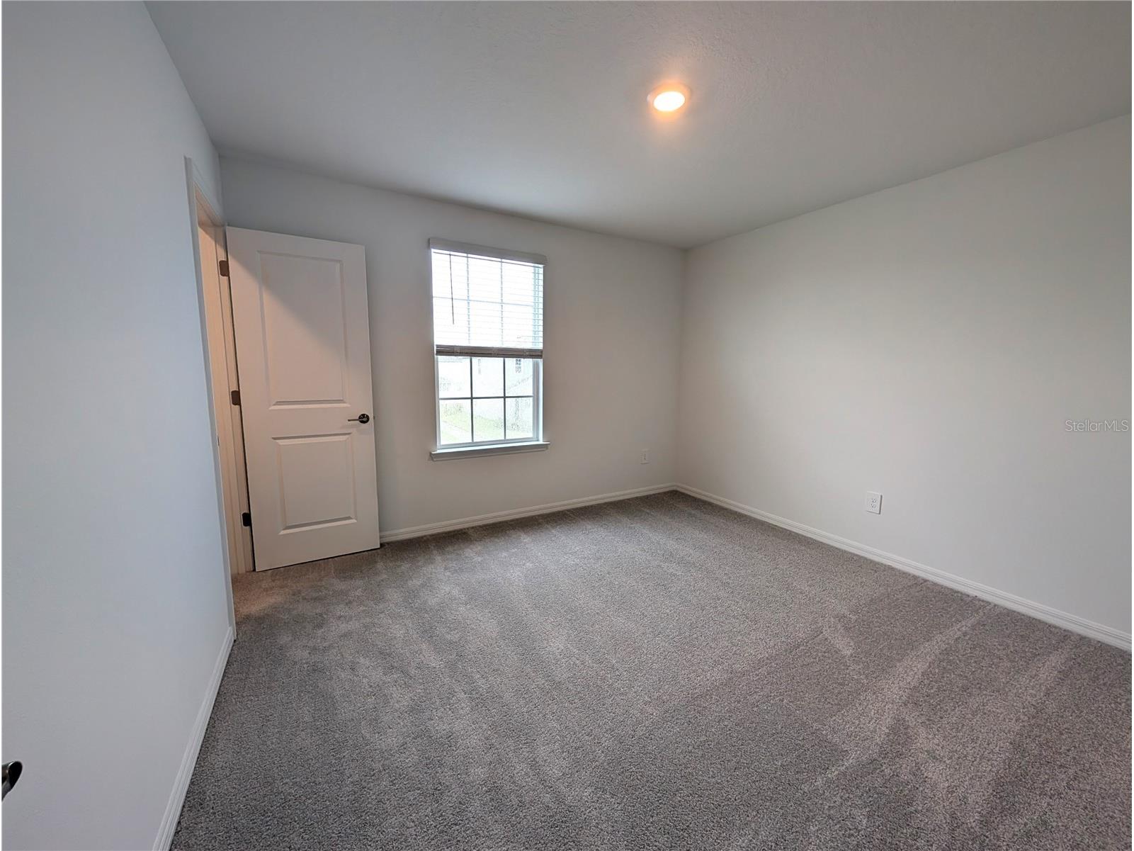 10171 Boger Ranch Ct Wesley Chapel FL 33545 TB8523165 image19