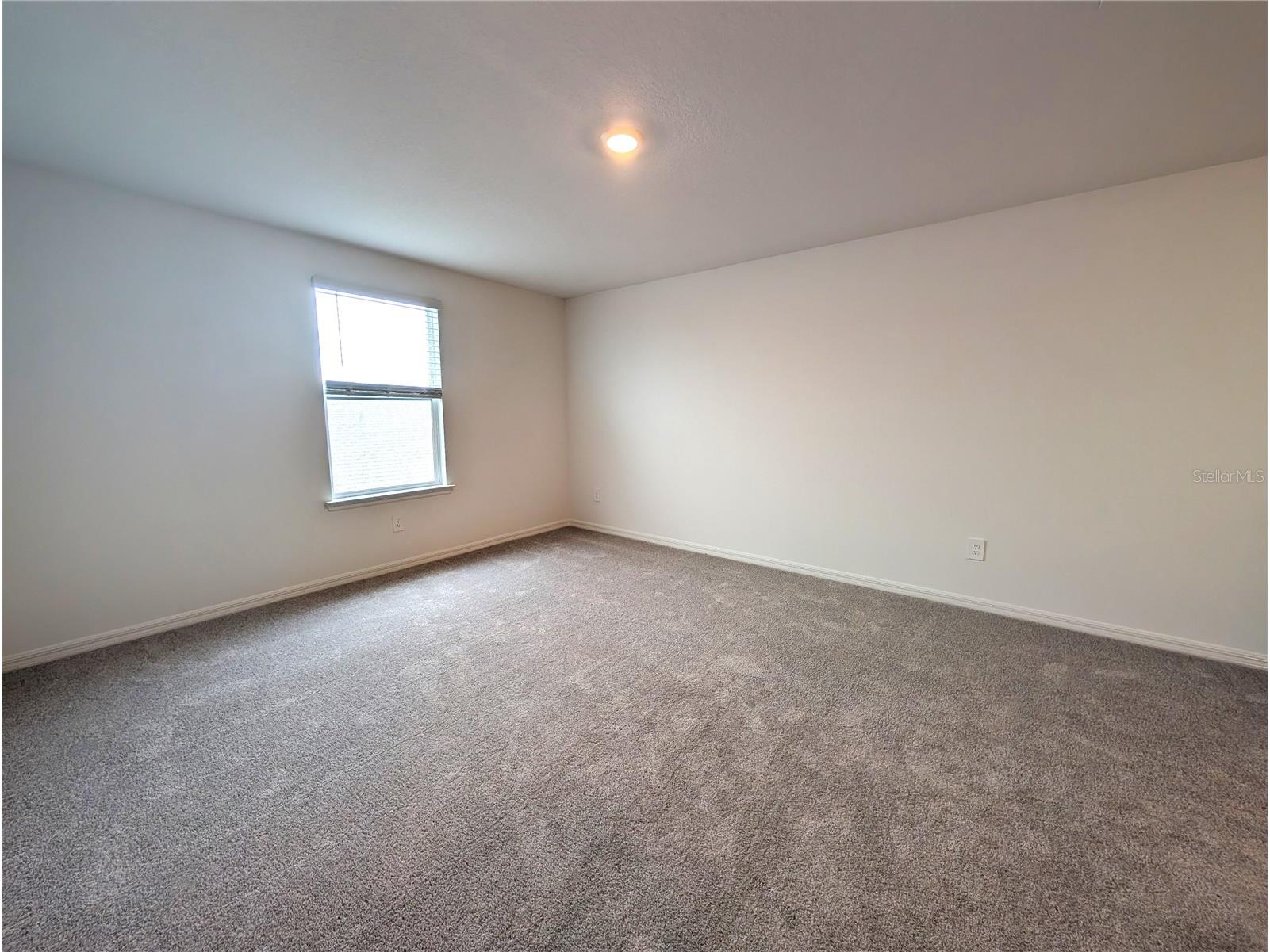 10171 Boger Ranch Ct Wesley Chapel FL 33545 TB8523165 image21