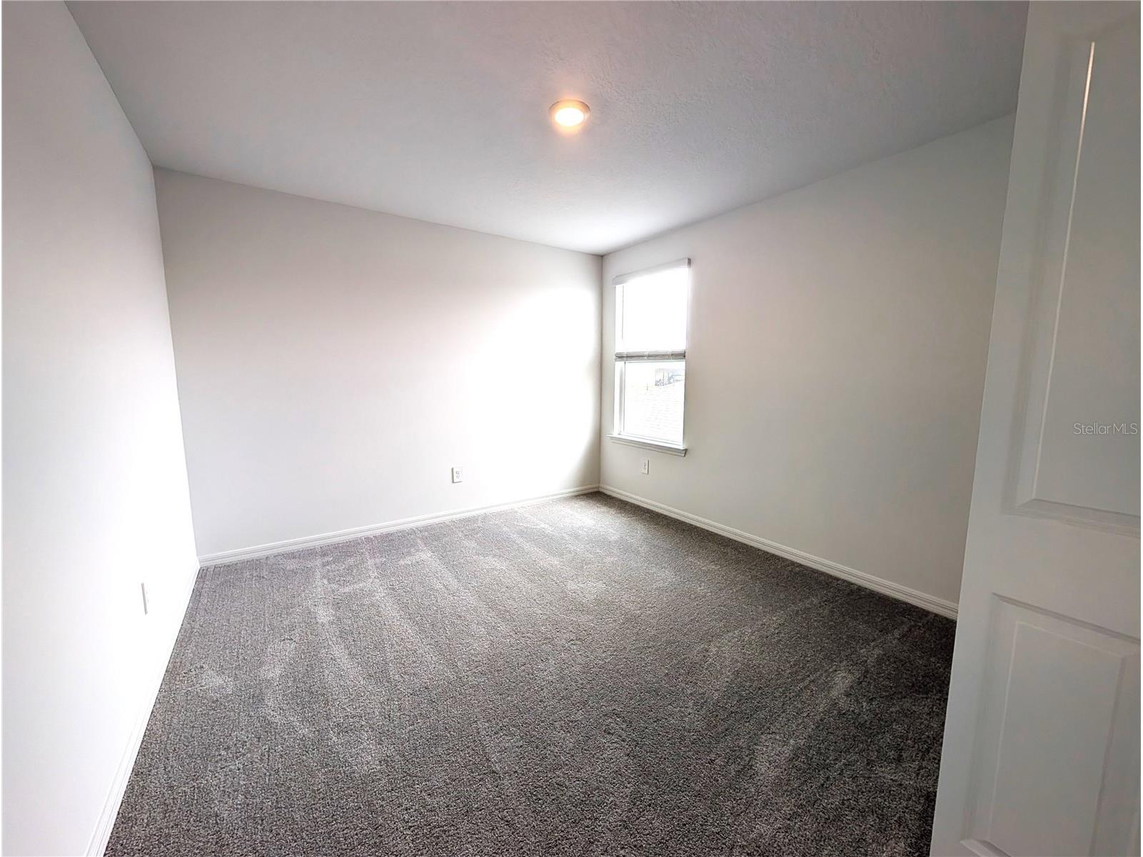 10171 Boger Ranch Ct Wesley Chapel FL 33545 TB8523165 image24
