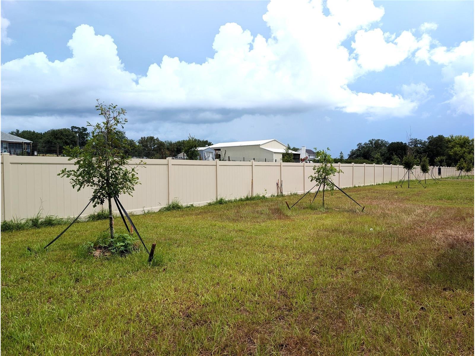 10171 Boger Ranch Ct Wesley Chapel FL 33545 TB8523165 image25