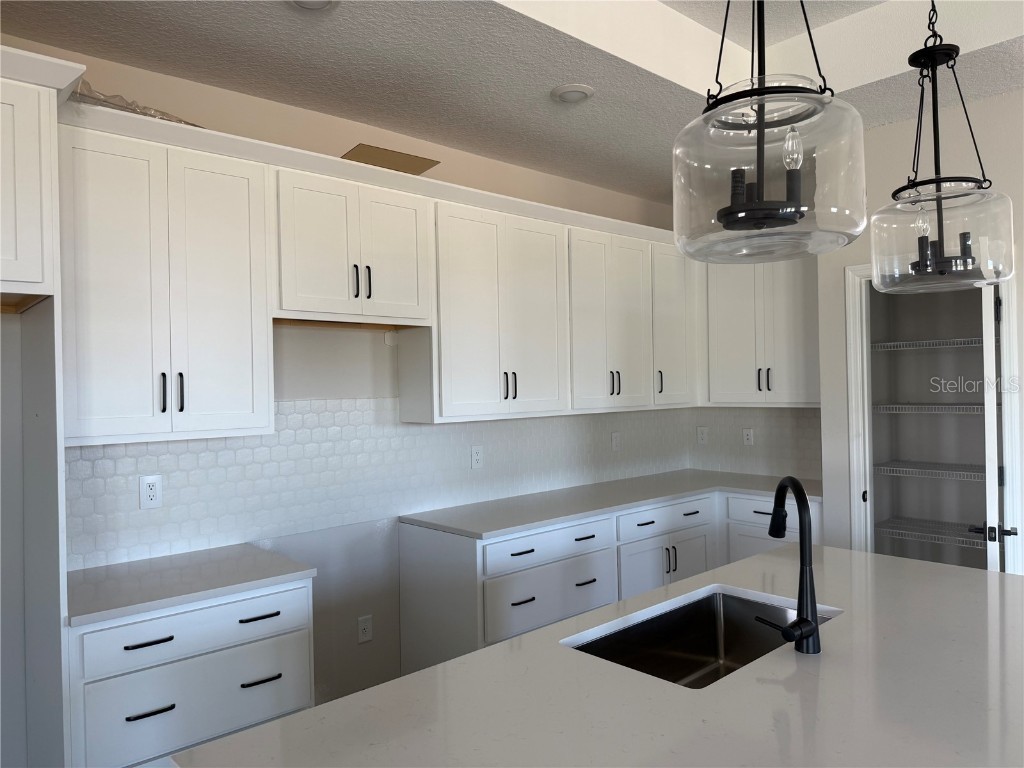 10172 Hidden Hammock Loop Parrish FL 34219 TB8426417 image13