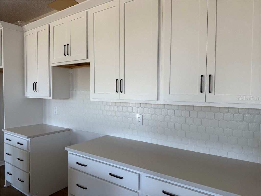 10172 Hidden Hammock Loop Parrish FL 34219 TB8426417 image14