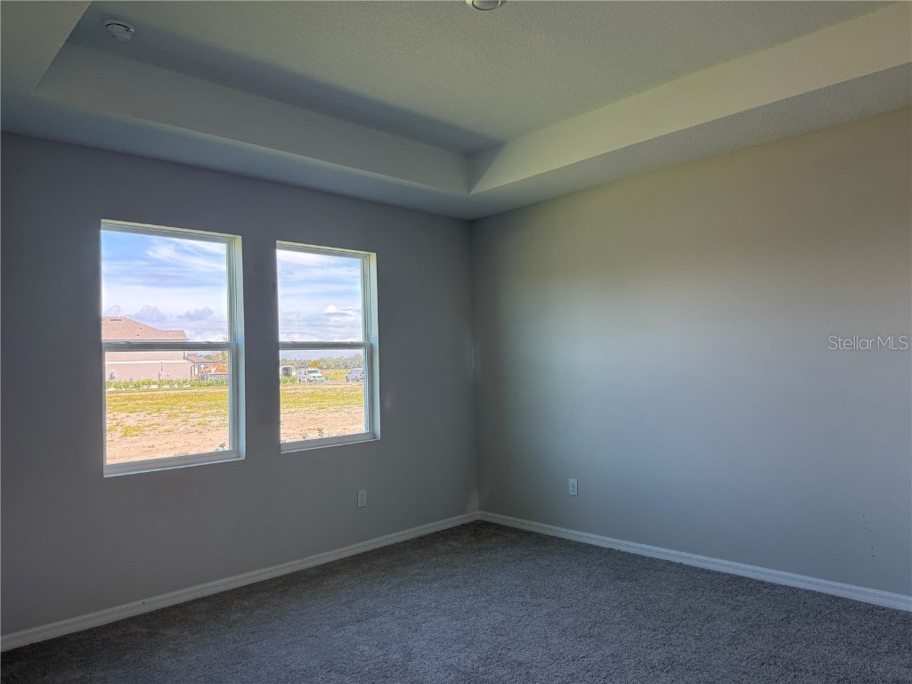 10172 Hidden Hammock Loop Parrish FL 34219 TB8426417 image20