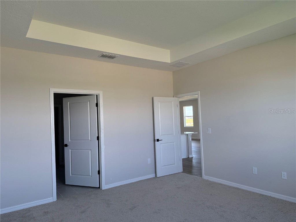 10172 Hidden Hammock Loop Parrish FL 34219 TB8426417 image21