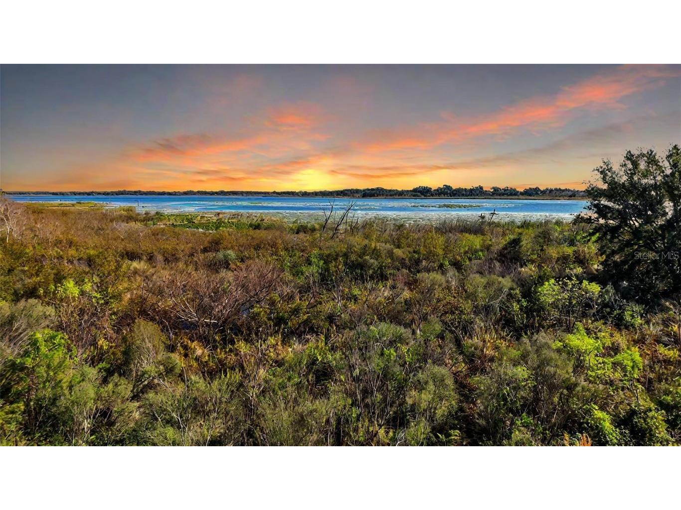 10173 Lake Miona Way Oxford FL 34484 G5104138 image3