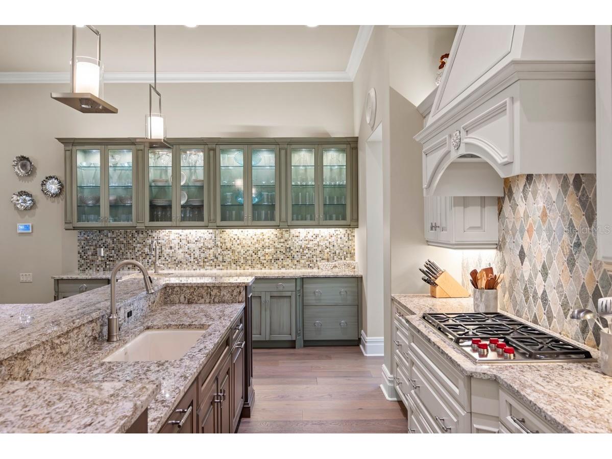 10173 Mattraw Place Golden Oak FL 32836 O6367492 image15