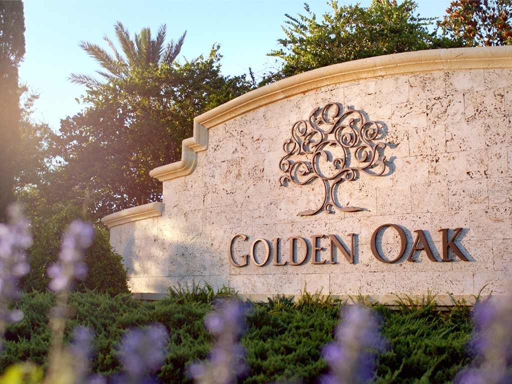 10173 Mattraw Place Golden Oak FL 32836 O6367492 image49