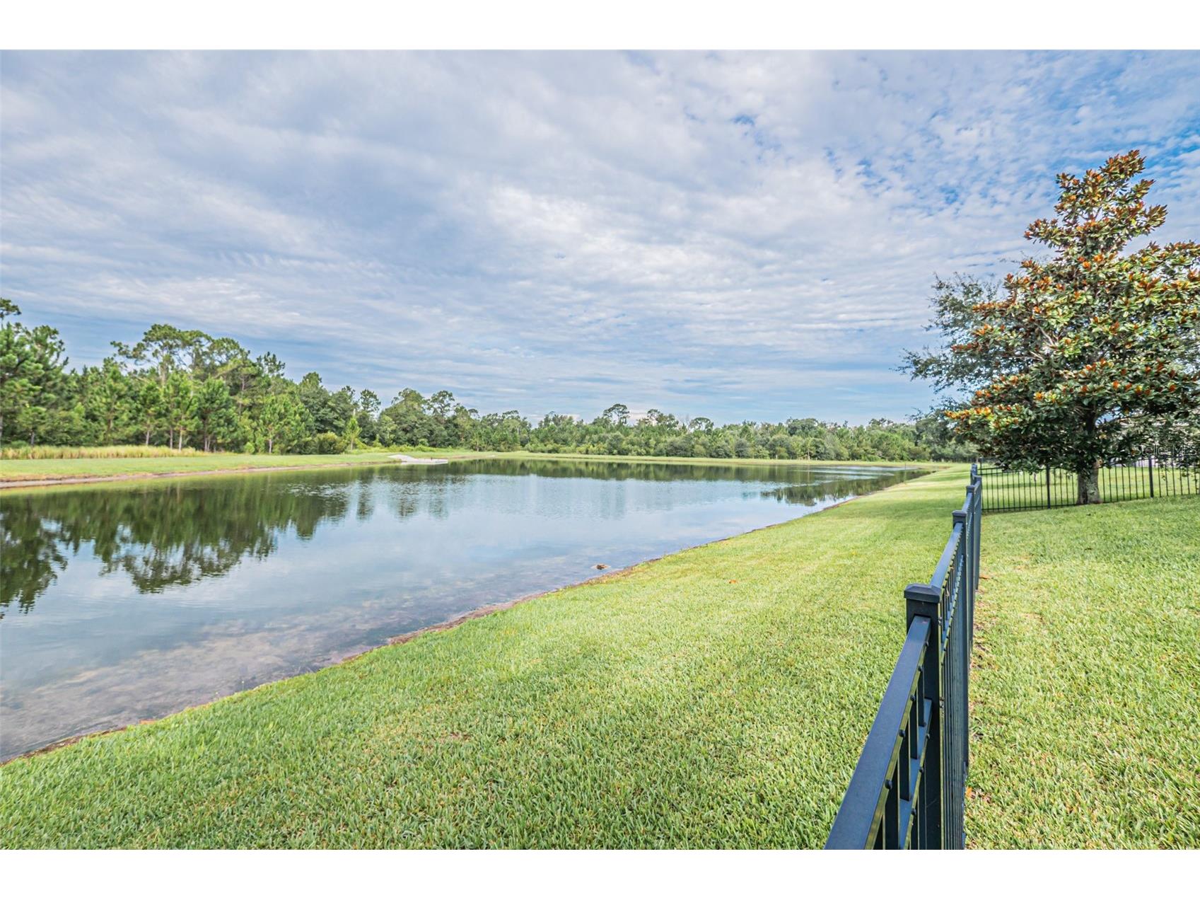 10174 Lovegrass Lane Orlando FL 32832 - POND O6423040 image49