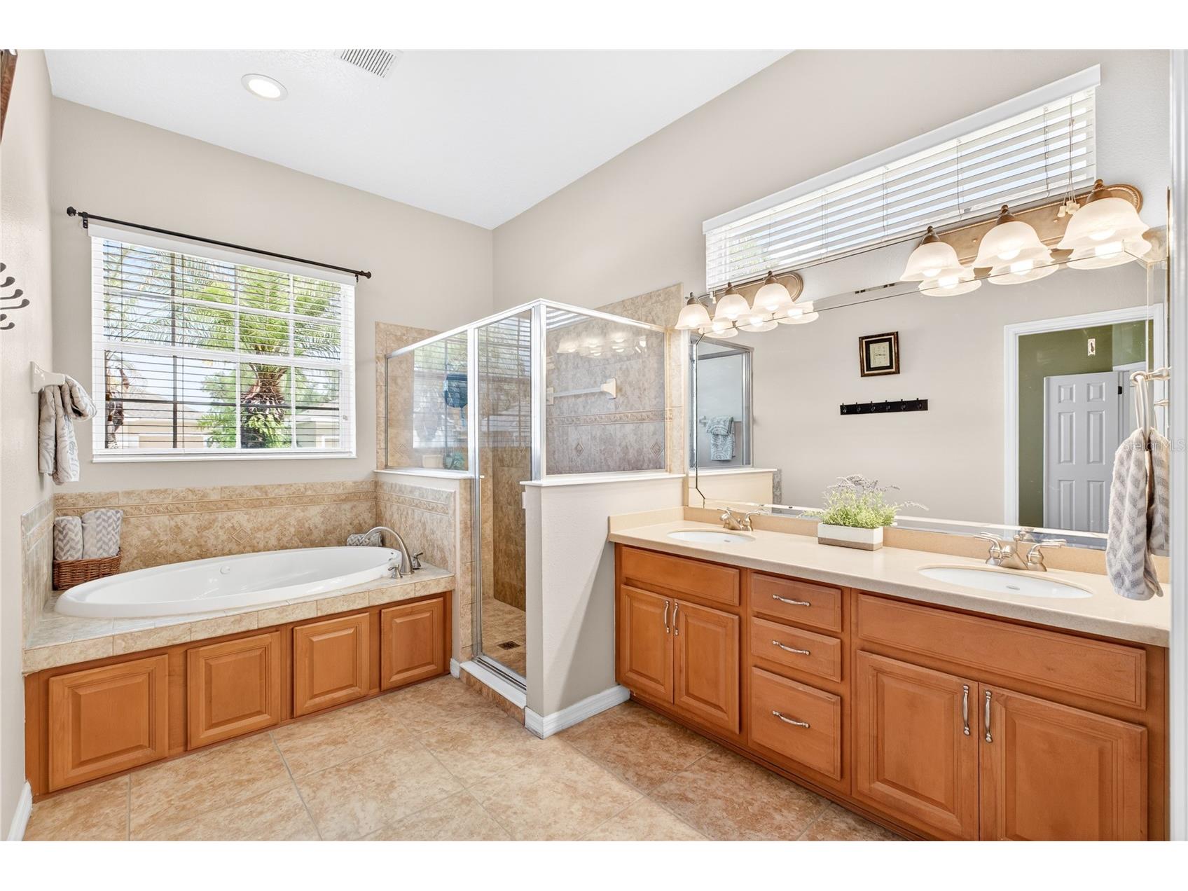 10174 Mallard Landings Way Orlando FL 32832 O6406057 image17